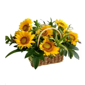 sunflowers in a basket