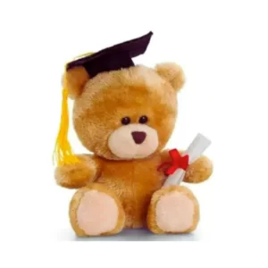 graduation teddy bear