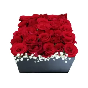 red roses in a square box