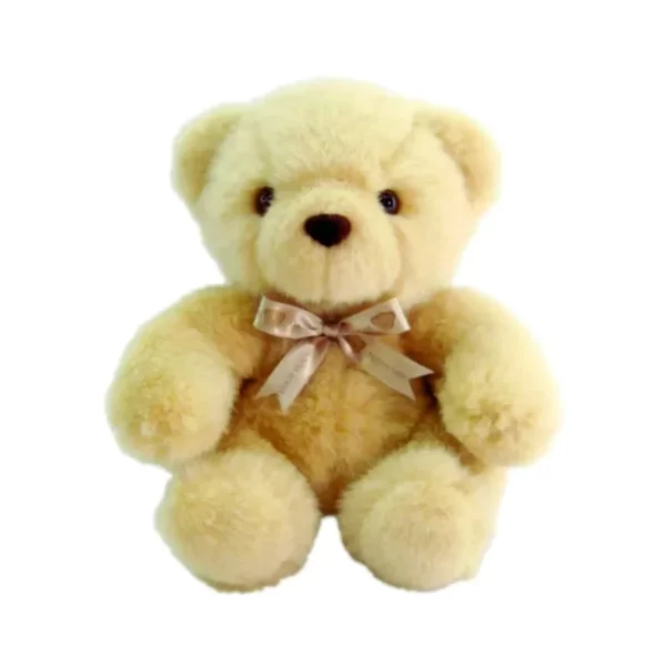 small teddy bear