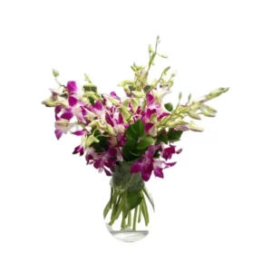 purple orchid in glass vase