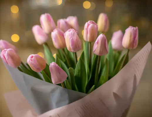flowers-for-anniversary-pink-tulips