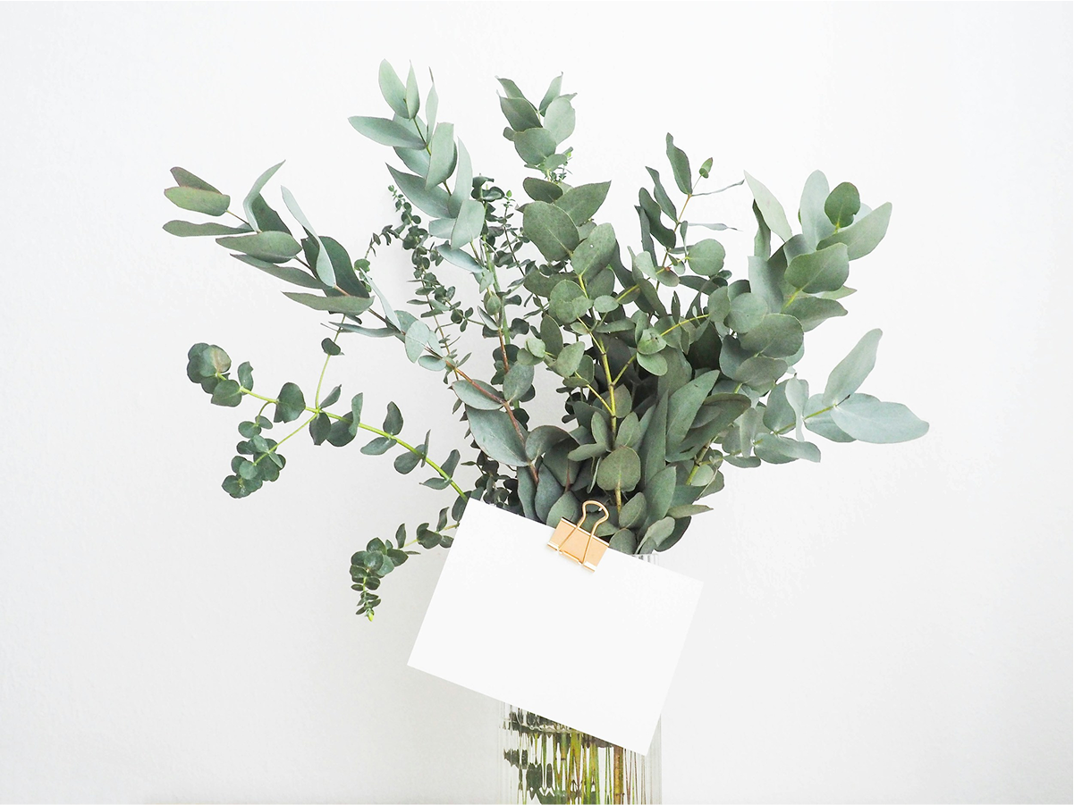wedding-bouquet-ideas-greenery-bridal-bouquets