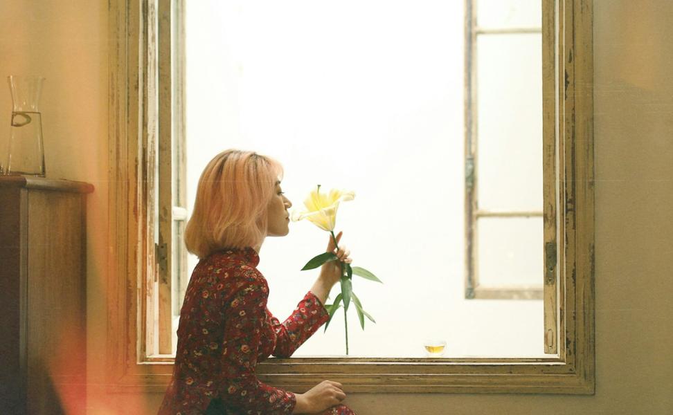 Allergy-Friendly Flowers