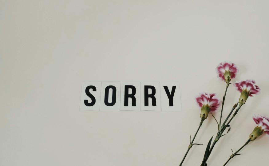 Apology Flower