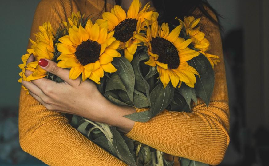 Caring for Sunflowers