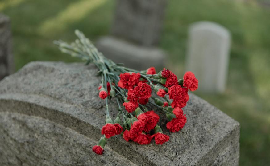 Carnation Symbolism