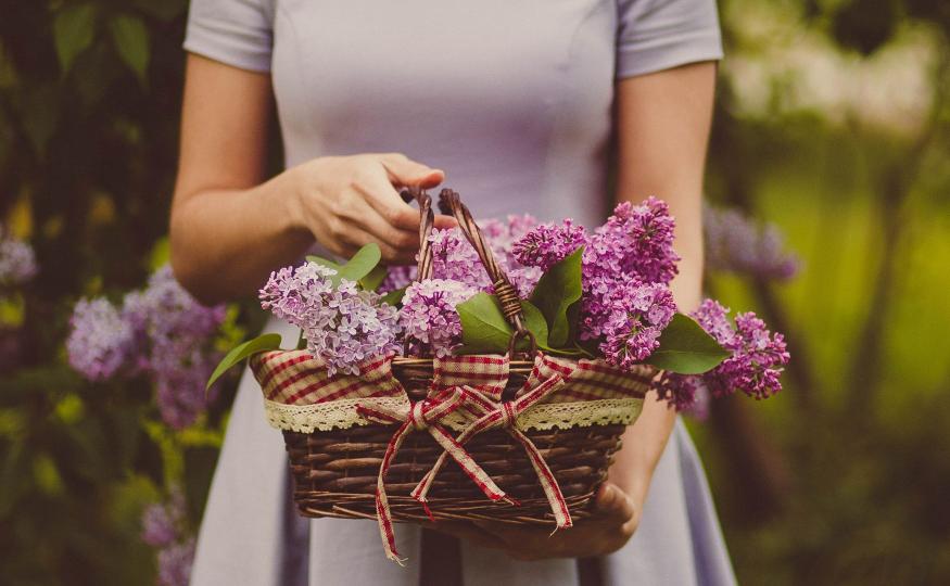Flower Arrangements