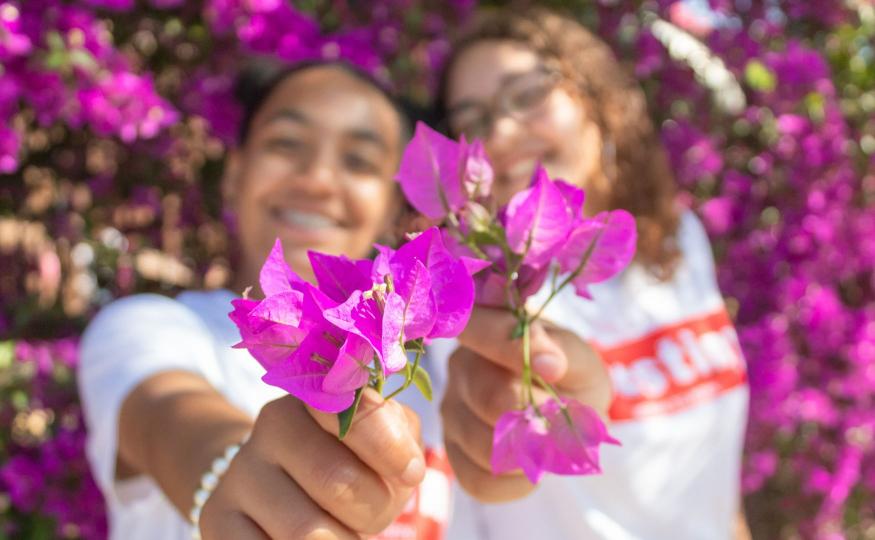 Flowers for Friendship