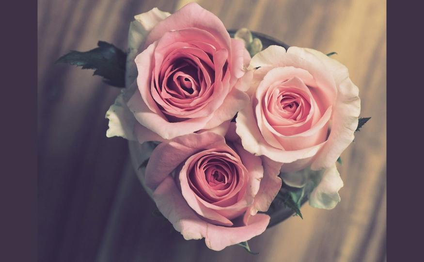 Popular Gift-Worthy Flowers