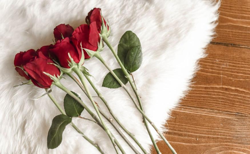 Red Roses Meaning