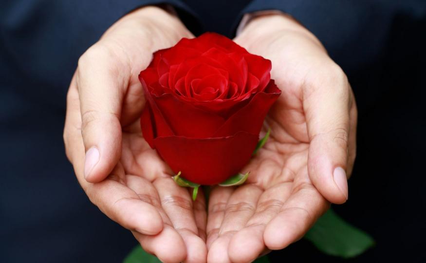 Spiritual Rose Meaning