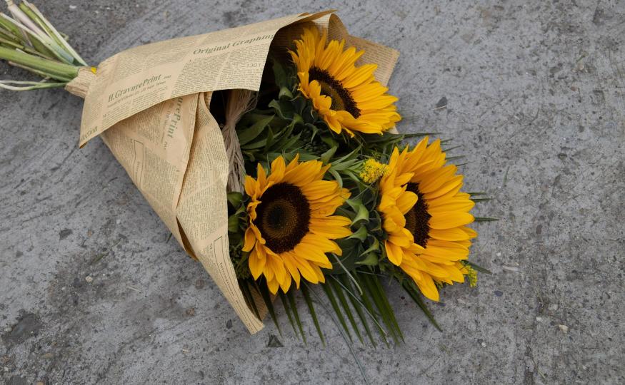 Sunflower Meaning