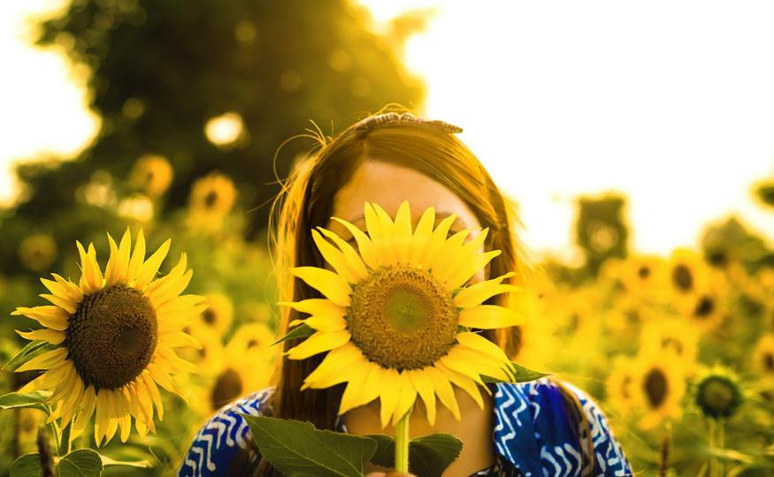 Sunflower Quote