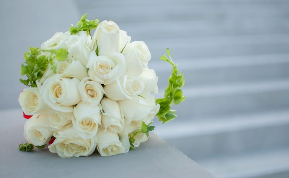White Rose Meaning