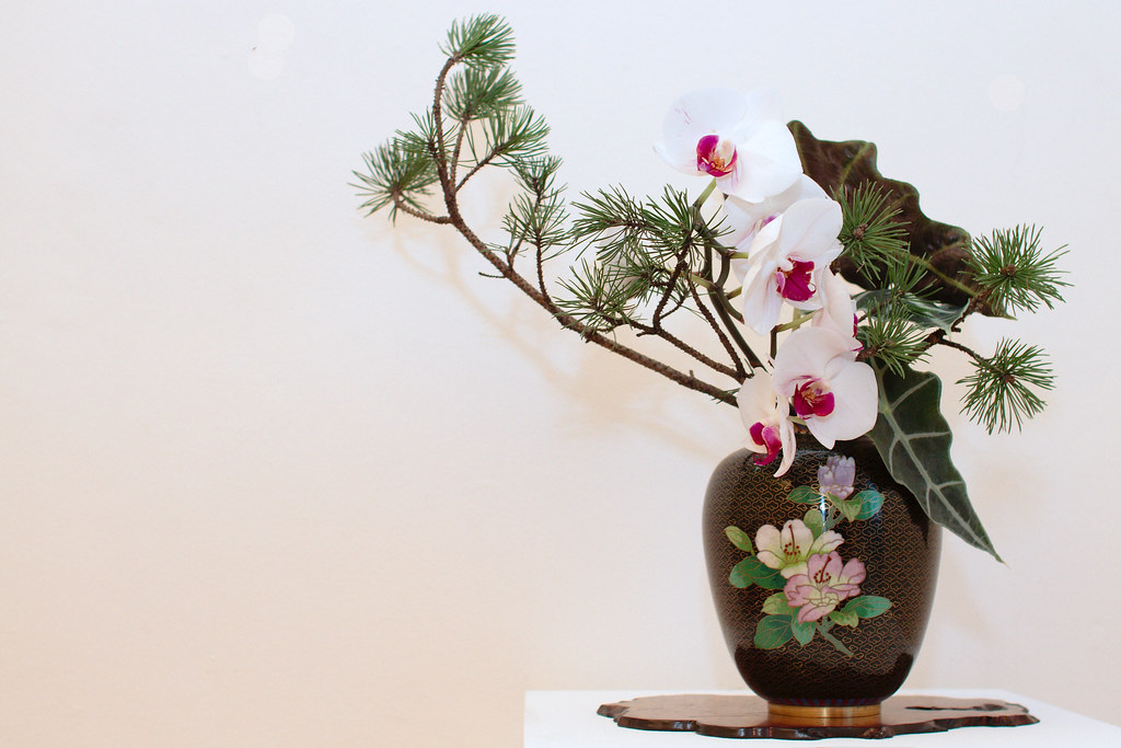 ikebana