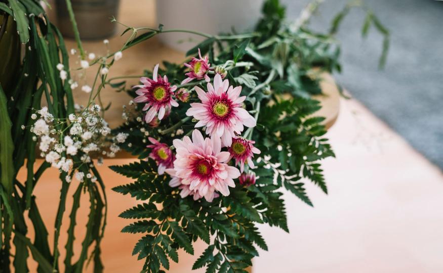 long-lasting flowers chrysanthemum
