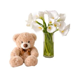 gift combo Blissful Cuddles