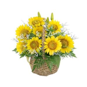 flower basket Blooming Sunshine