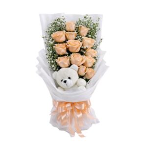 gift combo Dreamy Hug