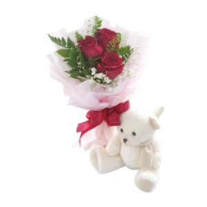 gift combo Lovely Snuggle