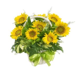 flower basket Majestic Sunflower